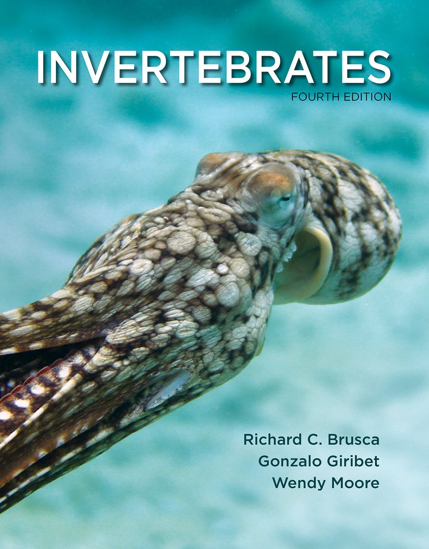Invertebrates Invertebrates