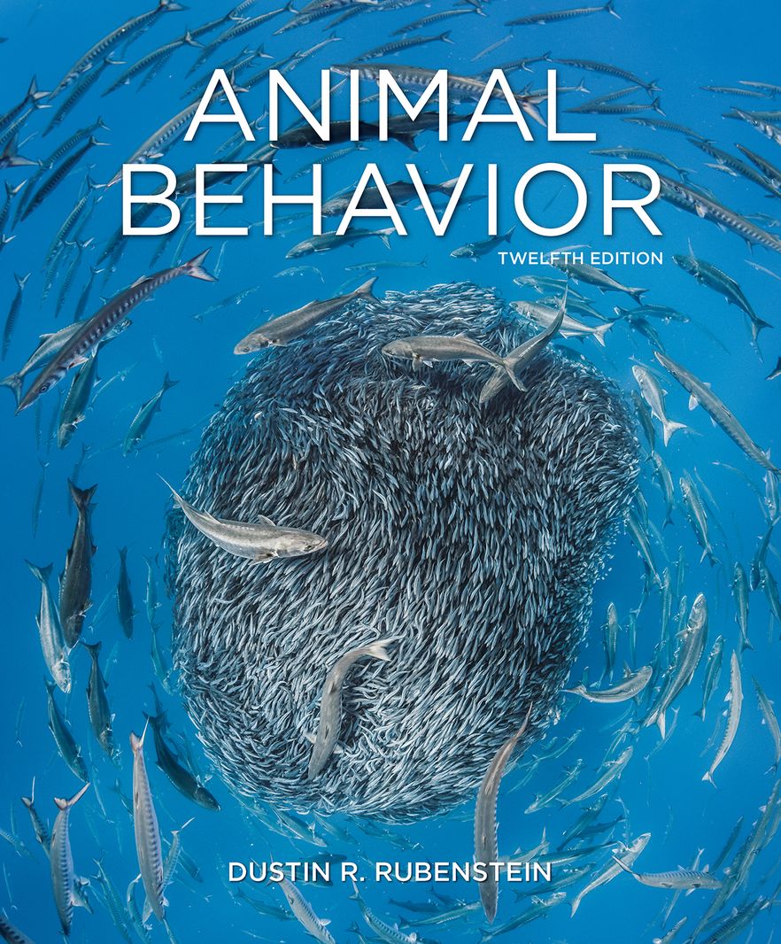 Animal Behavior Animal Behavior