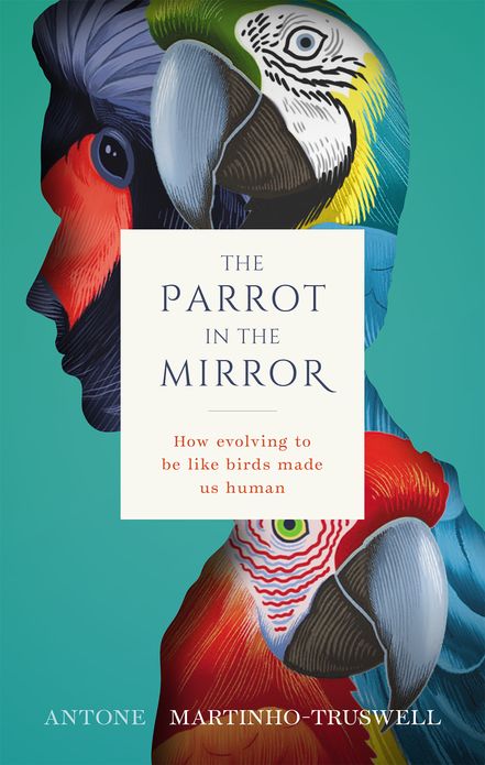 The Parrot in the Mirror How evolving to be like birds made us human