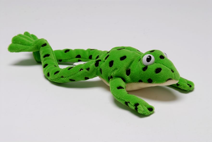 Read Write Inc Fred the Frog Toy