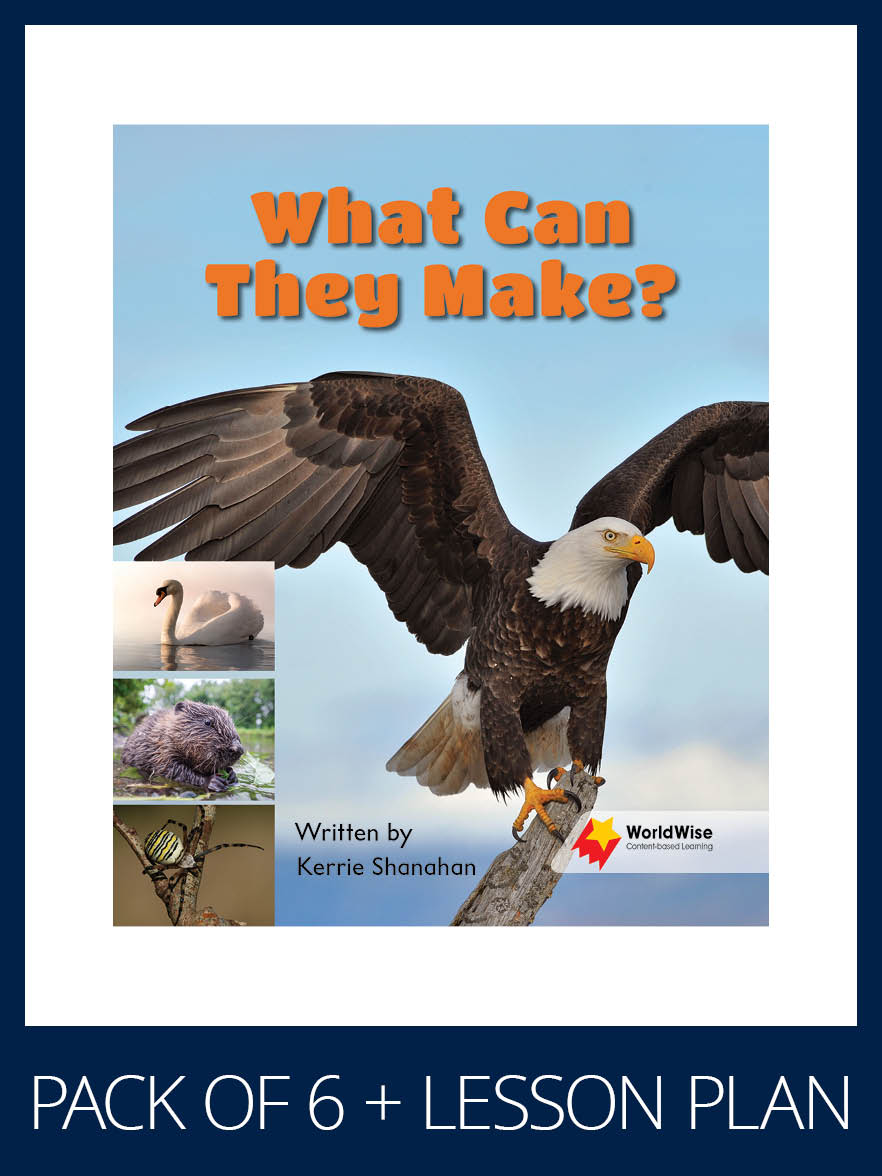 WorldWise Guided Reading Pack Level 4, Pack 4 WorldWise Guided Reading Pack Level 4, Pack 4