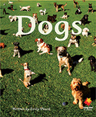 Dogs Dogs