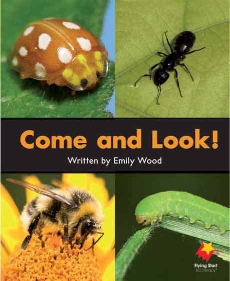 Come and Look! Come and Look!