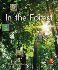 In the Forest In the Forest