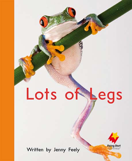Lots of Legs Lots of Legs