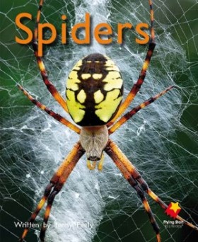 Spiders Spiders