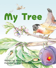 My Tree My Tree