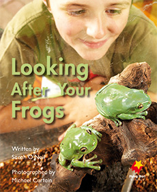 Looking After Your Frogs