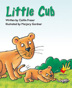 Little Cub Little Cub