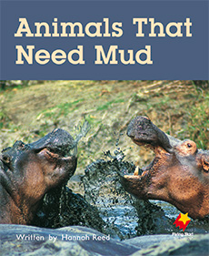Animals That Need Mud Animals That Need Mud