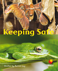 Keeping Safe Keeping Safe