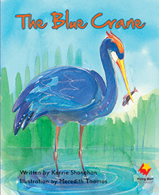 The Blue Crane The Blue Crane