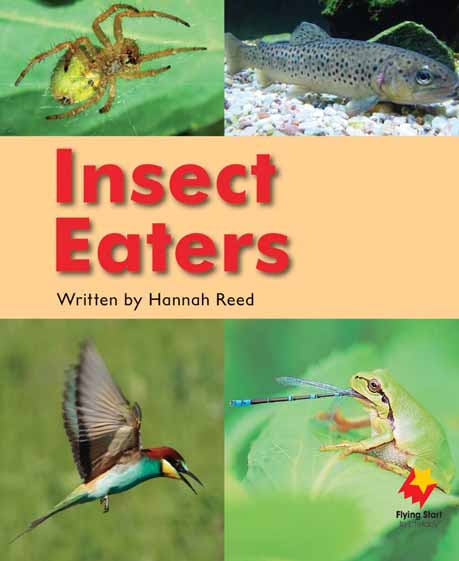 Insect Eaters Insect Eaters