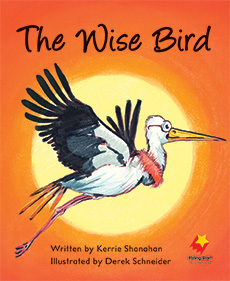 The Wise Bird The Wise Bird