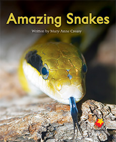 Amazing Snakes Amazing Snakes