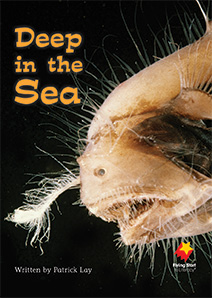 Deep in the Sea Deep in the Sea