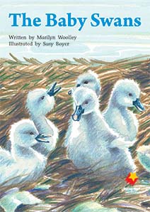 The Baby Swans The Baby Swans