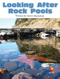 Looking After Rock Pools