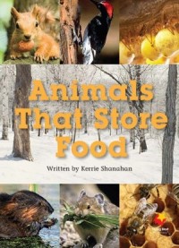 Animals That Store Food Animals That Store Food