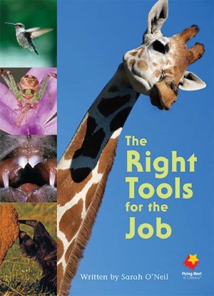 The Right Tools for the Job The Right Tools for the Job