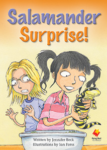 Salamander Surprise Salamander Surprise