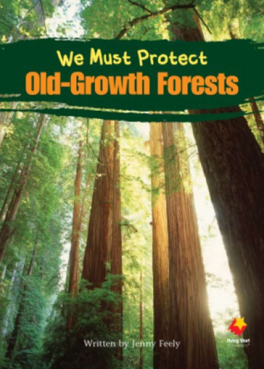 We Must Protect Old Growth Forests We Must Protect Old Growth Forests