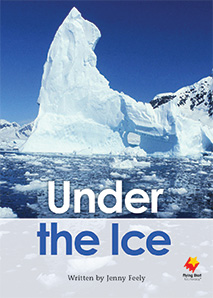 Under the Ice Under the Ice