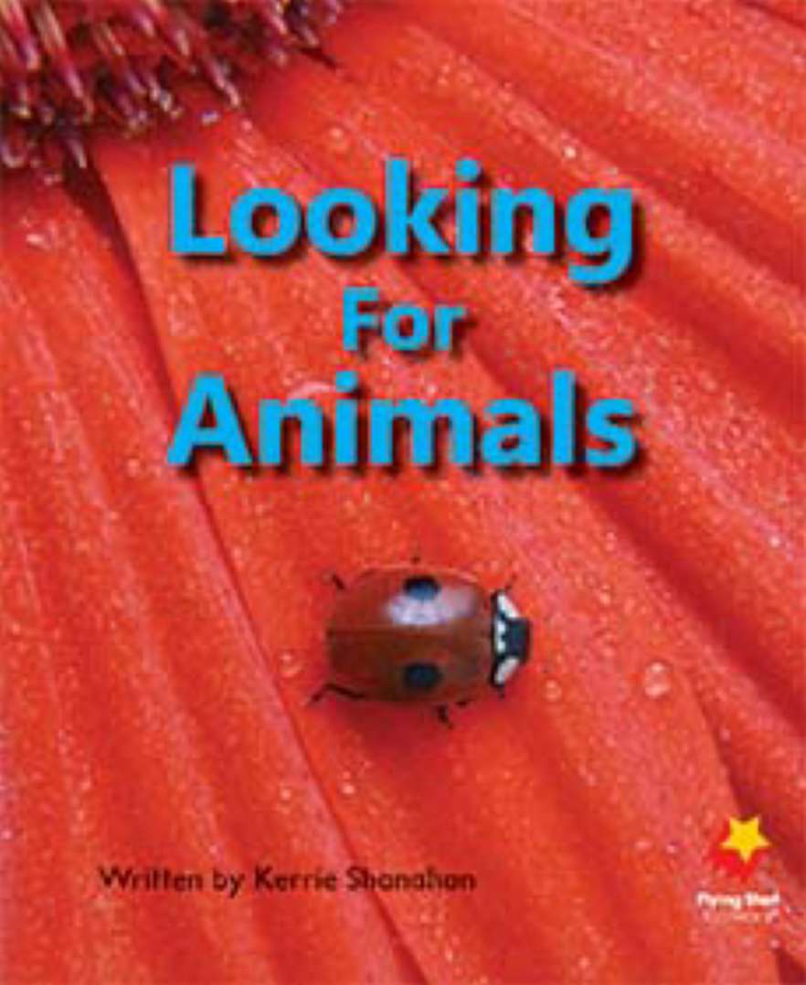 Looking for Animals