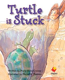 Turtle is Stuck Turtle is Stuck