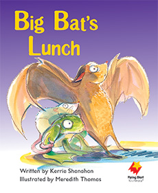 Big Bat's Lunch Big Bat's Lunch