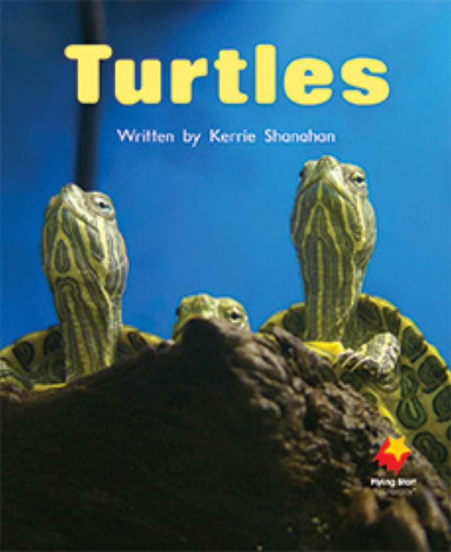 Turtles