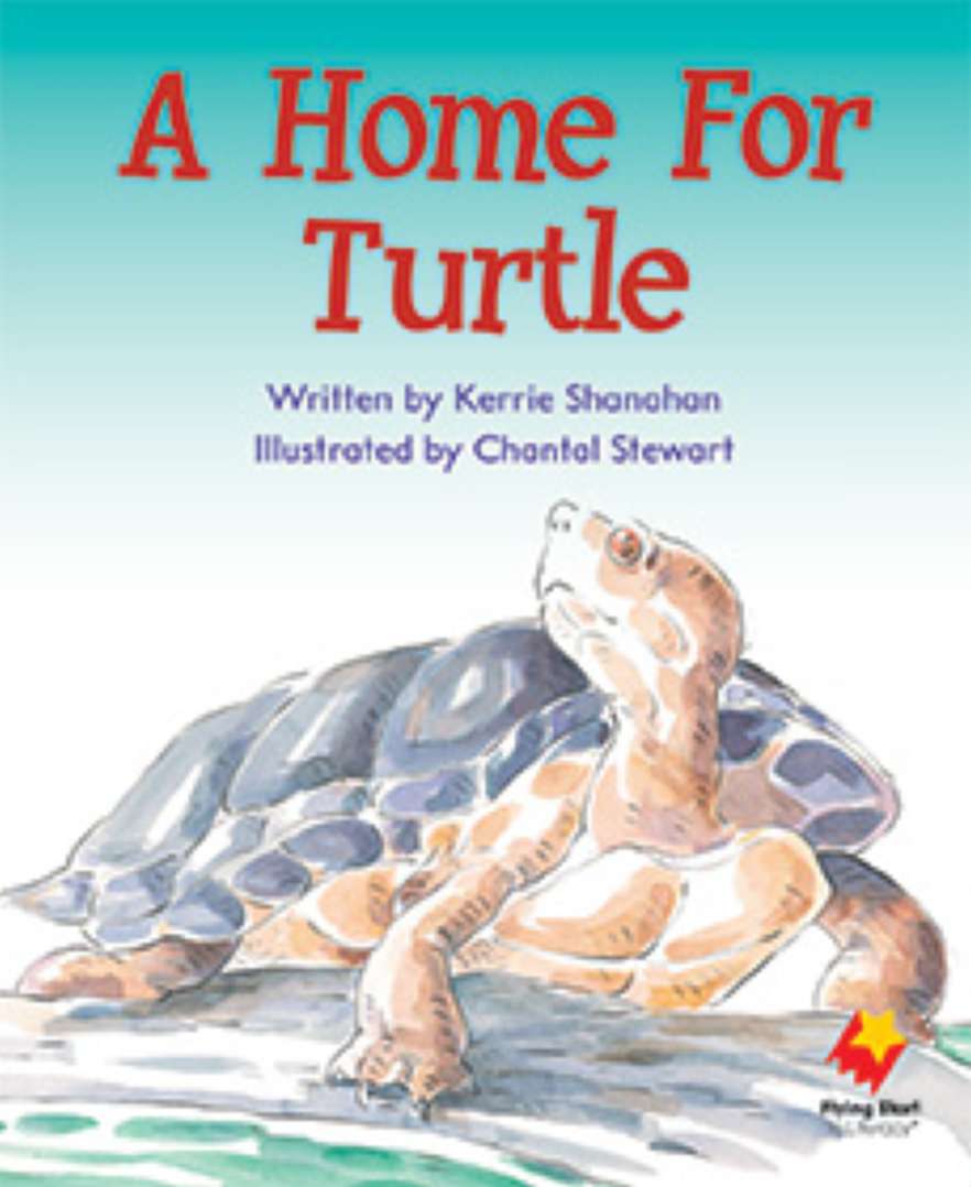 Picture of A Home For Turtle