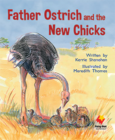 Father Ostrich and the New Chicks
