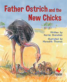 Father Ostrich and the New Chicks Father Ostrich and the New Chicks