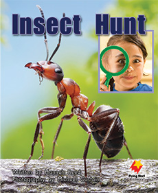 Insect Hunt Insect Hunt