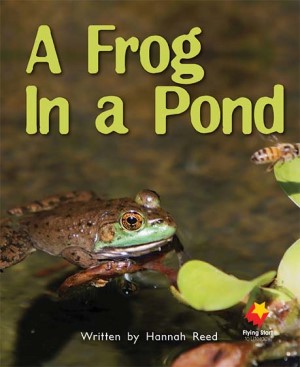 A Frog in the Pond A Frog in the Pond