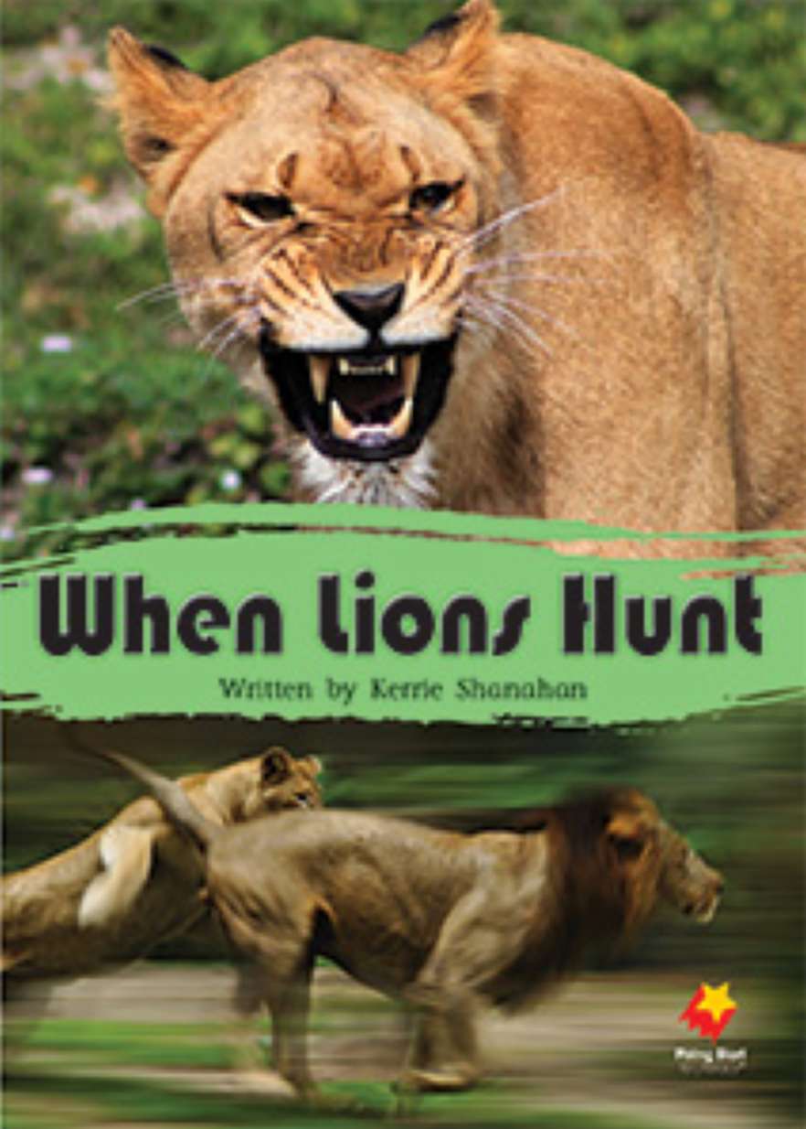 When Lions Hunt When Lions Hunt