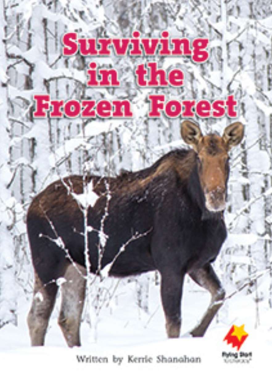 Surviving in the Frozen Forest
