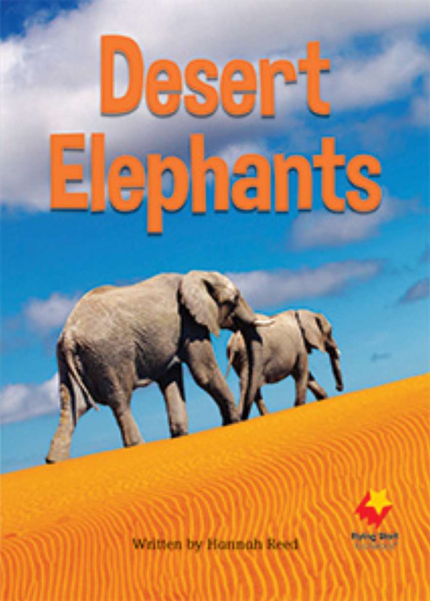 Desert Elephants Desert Elephants