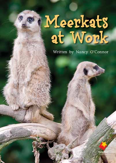 Meerkats at Work Meerkats at Work