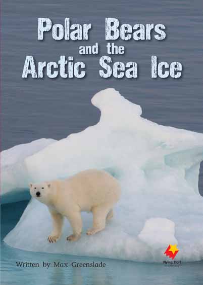 Polar Bears and the Arctic Sea Ice