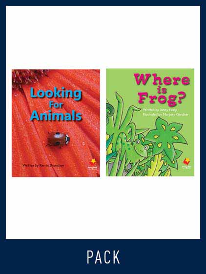 Flying Start Guided Reading Pack Level 4, Pack 1 Flying Start Guided Reading Pack Level 4, Pack 1