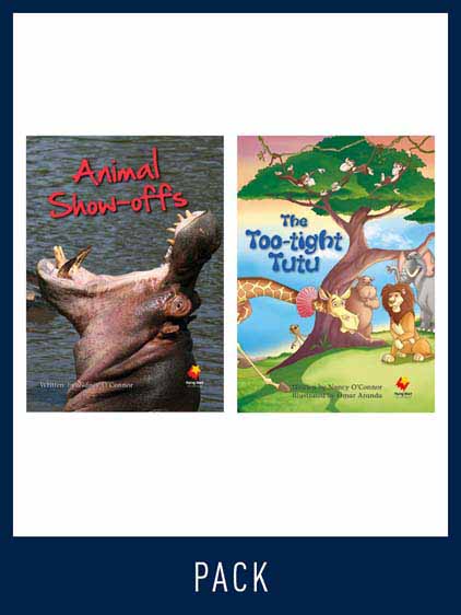 Flying Start Guided Reading Level 19, Pack 2 Flying Start Guided Reading Level 19, Pack 2