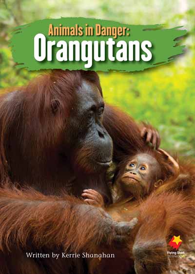 Animals in Danger: Orangutans