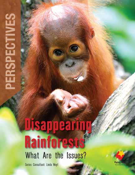 Disappearing Rainforests: What Are the Issues? Disappearing Rainforests: What Are the Issues?