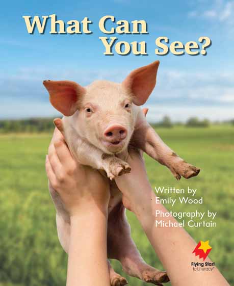 What Can You See? What Can You See?