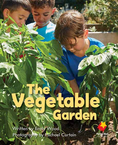 The Vegetable Garden The Vegetable Garden