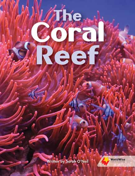 The Coral Reef The Coral Reef