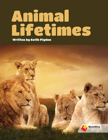 Animal Lifetimes Animal Lifetimes