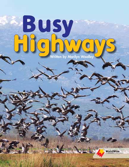 Busy Highways